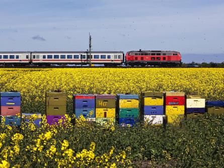 普貨運輸 普貨運輸