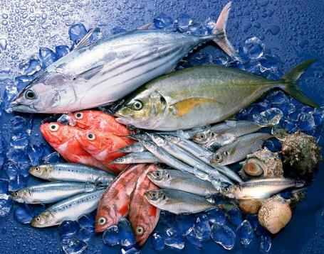 恒溫運(yùn)輸 恒溫運(yùn)輸