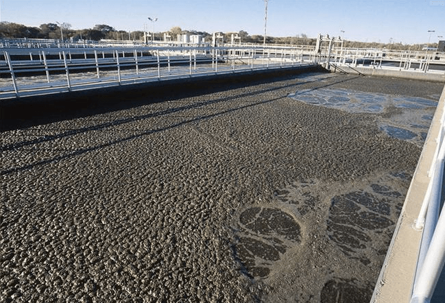 （圖：生化水處理泡沫場(chǎng)景）