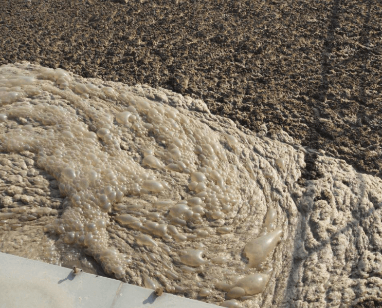 (圖:污水處理生化池泡沫多)