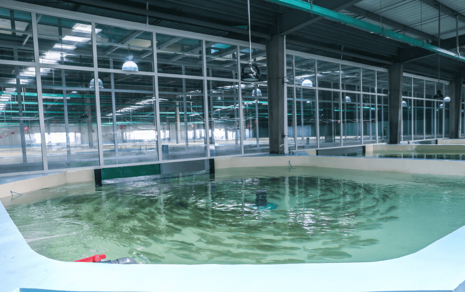 (圖:噴涂水處理用消泡劑應用)